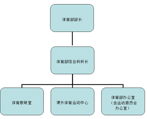 体育部机构设置
